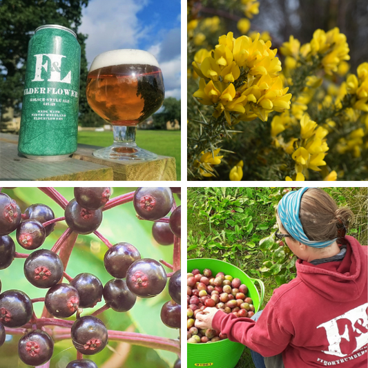 Made in Northumberland