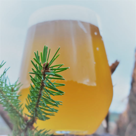 Spruce / Saison (440ml cans)