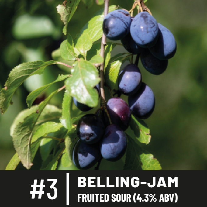 #3 - Belling-Jam / Fruited Sour