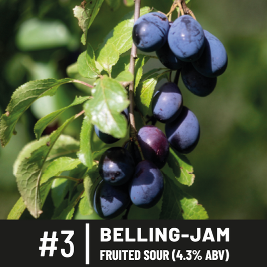 #3 - Belling-Jam / Fruited Sour