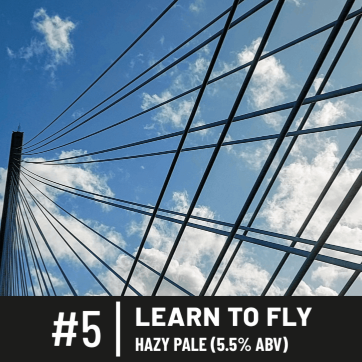 #5 - Learn To Fly / Hazy Pale