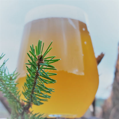 Spruce / Saison  (440ml cans)