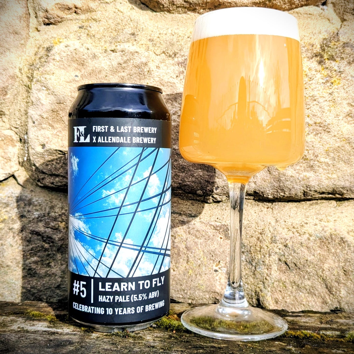 Learn To Fly / Hazy Pale (440ml cans)