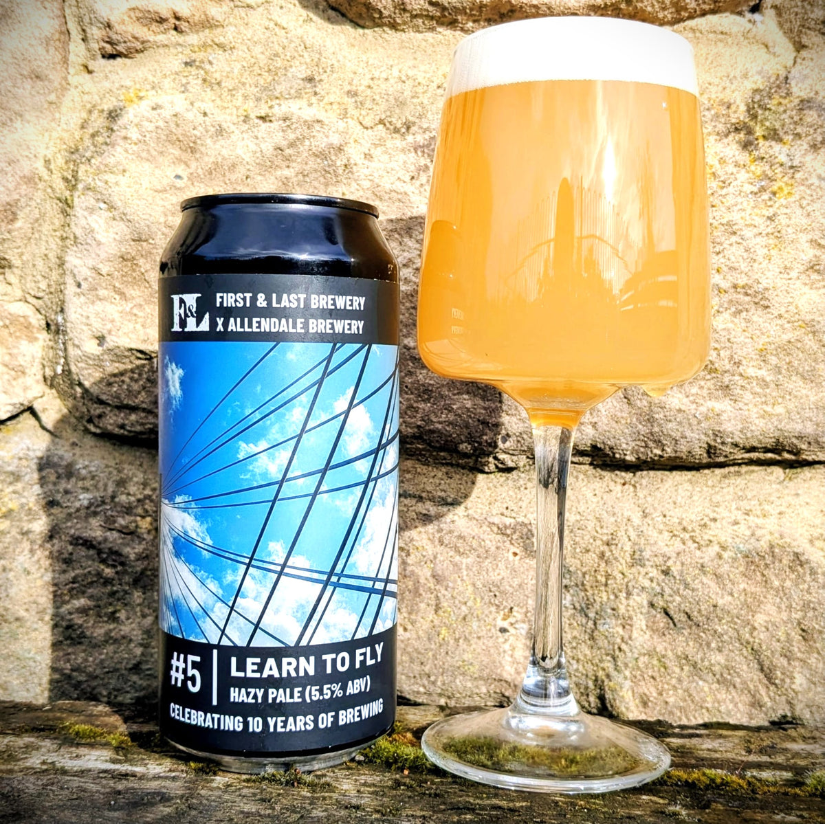Learn To Fly / Hazy Pale (440ml cans)
