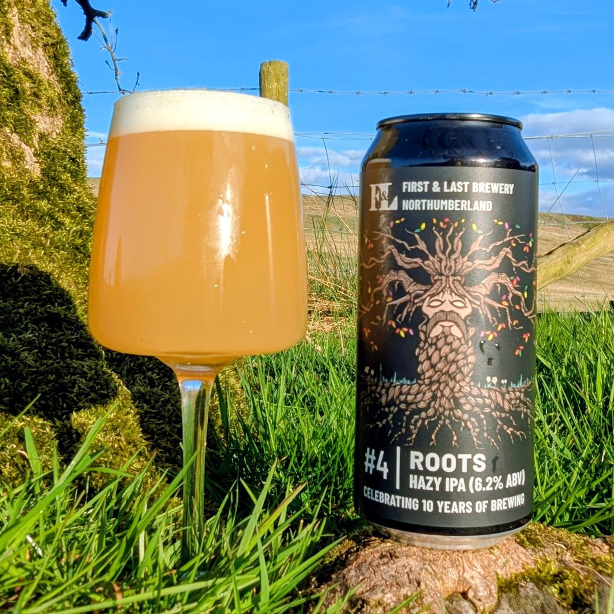 Roots / Hazy IPA (440ml cans)