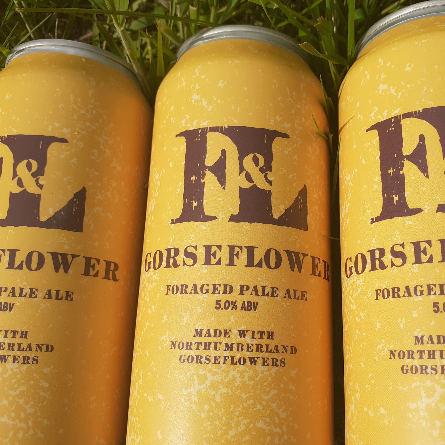 Gorseflower / Foraged Pale  (440ml cans)