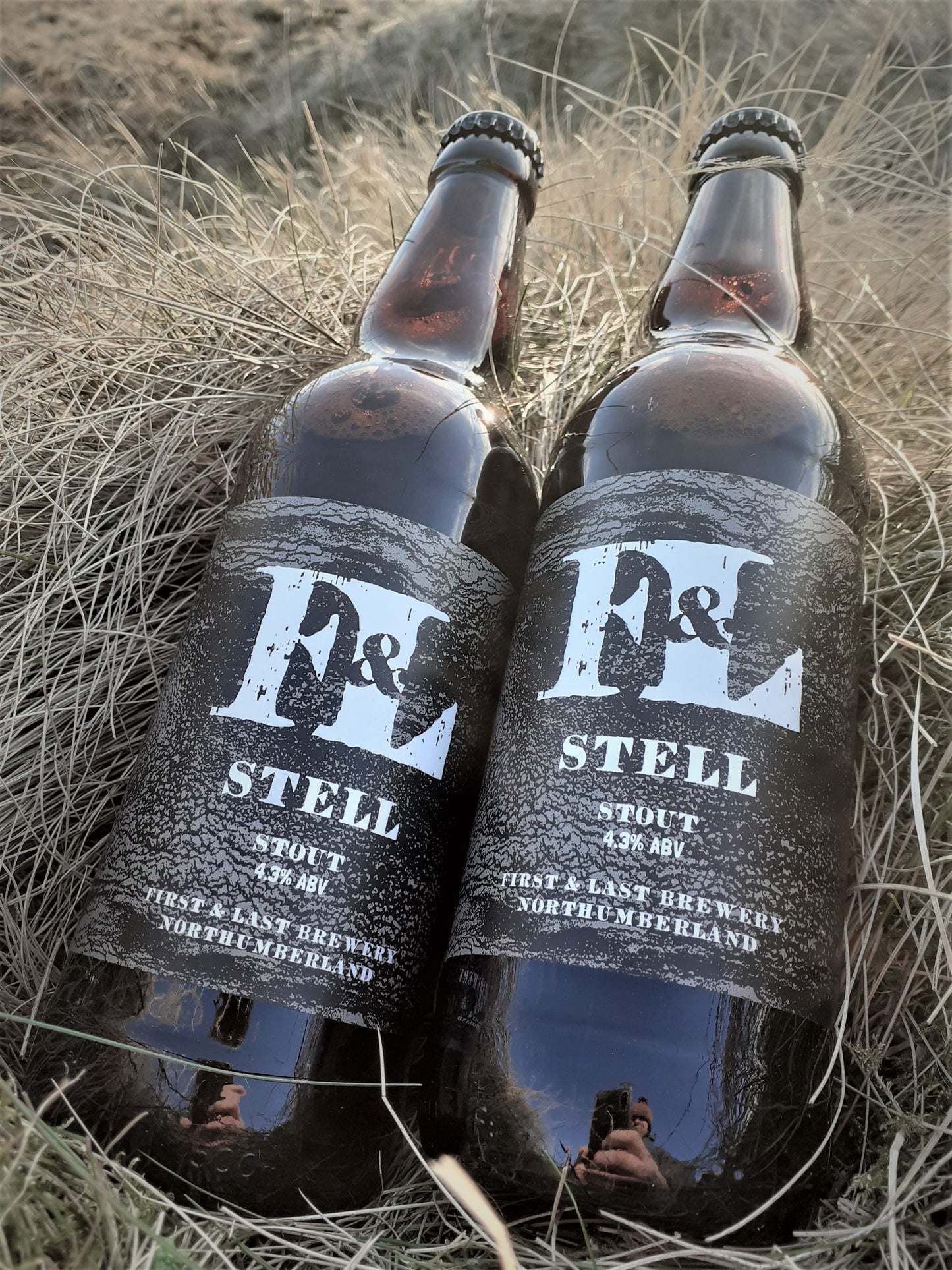 Stell - Stout (12x500ml)